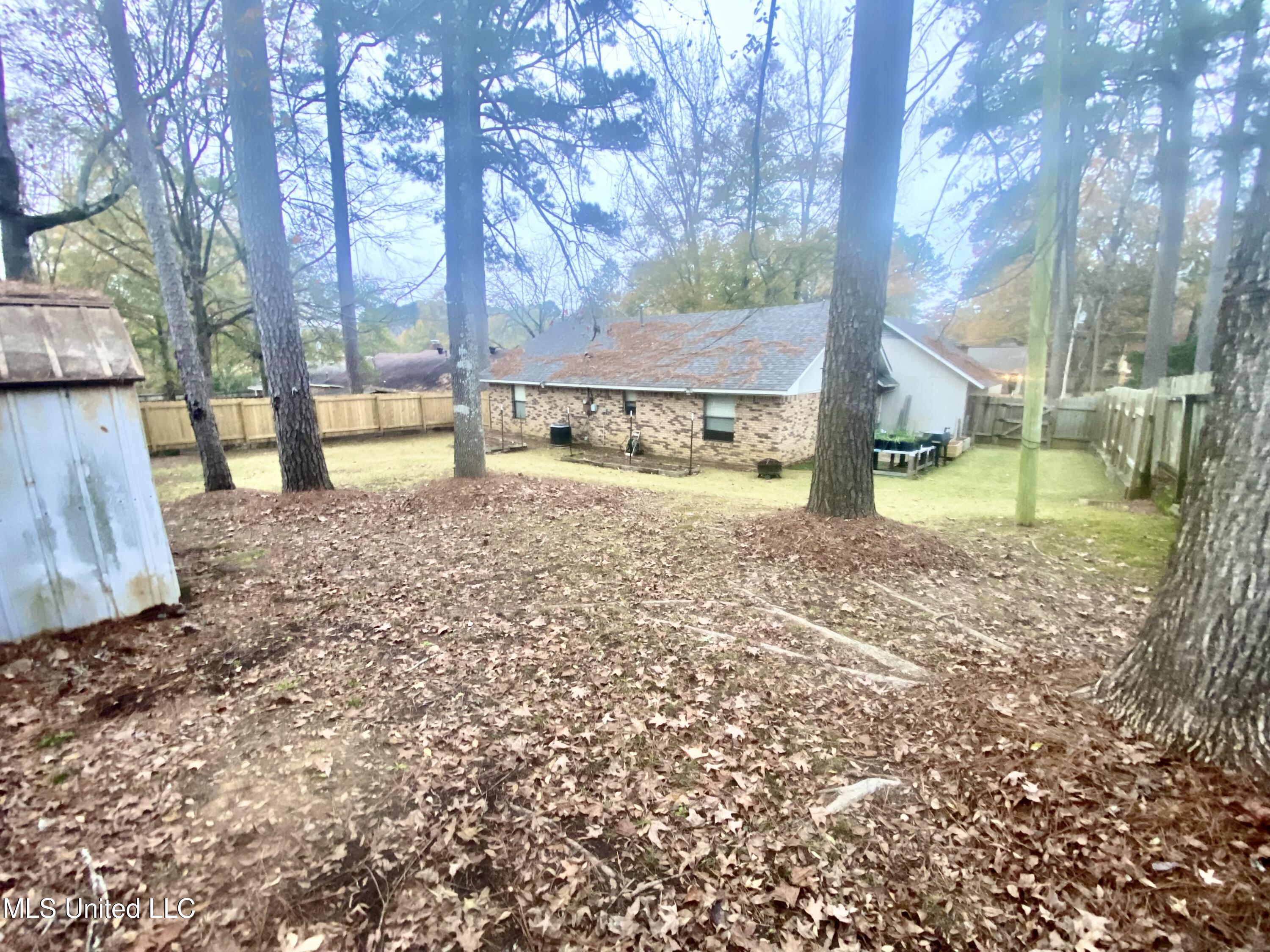 111 Sara Drive Brandon, MS 39042 - Photo 15 of 15 IMG_3153