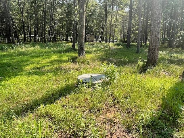 841-847 Sterling Road Nekoosa, WI 54457 - Photo 6 of 14