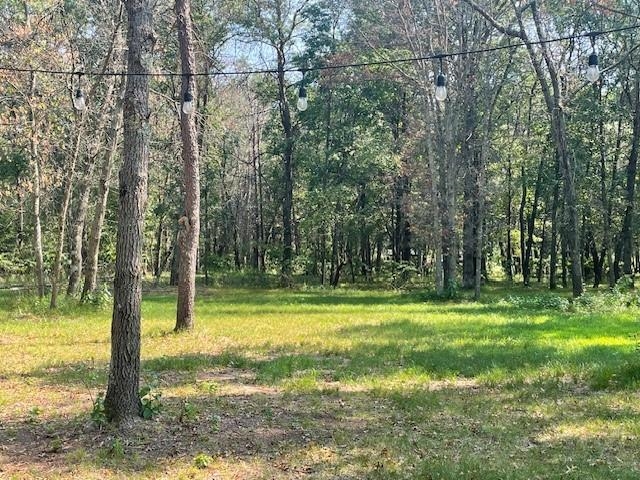 841-847 Sterling Road Nekoosa, WI 54457 - Photo 8 of 14