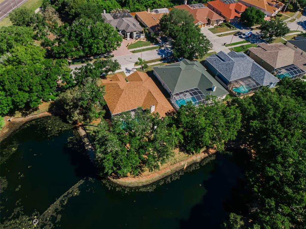 1802 Oak Ridge Road Safety Harbor, FL 34695 - Photo 2 of 73
