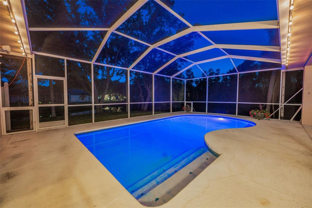 1802 Oak Ridge Road Safety Harbor, FL 34695 - Photo 40 of 73