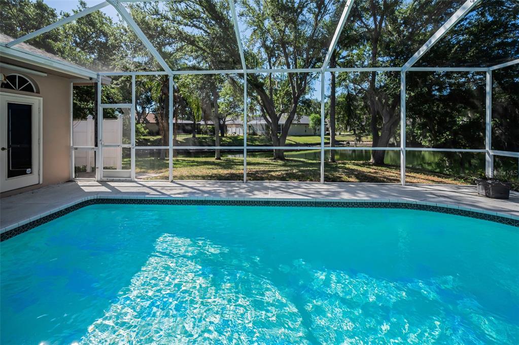 1802 Oak Ridge Road Safety Harbor, FL 34695 - Photo 4 of 73