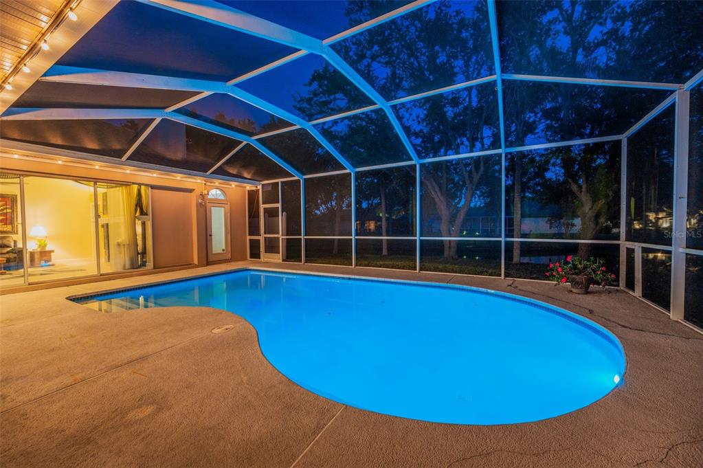 1802 Oak Ridge Road Safety Harbor, FL 34695 - Photo 41 of 73