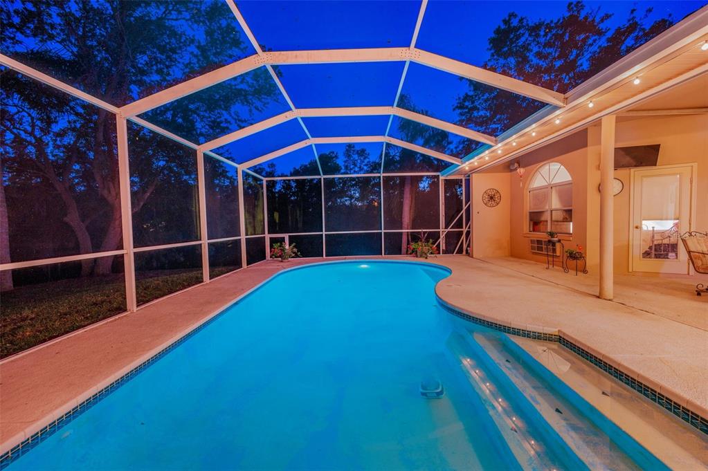 1802 Oak Ridge Road Safety Harbor, FL 34695 - Photo 42 of 73