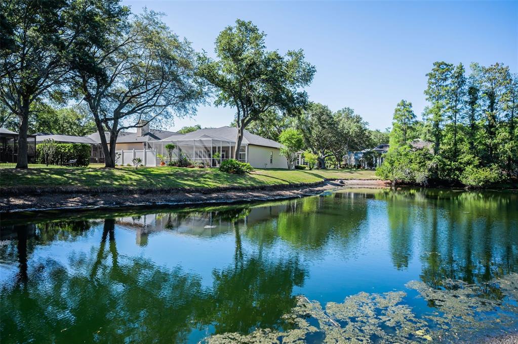 1802 Oak Ridge Road Safety Harbor, FL 34695 - Photo 47 of 73