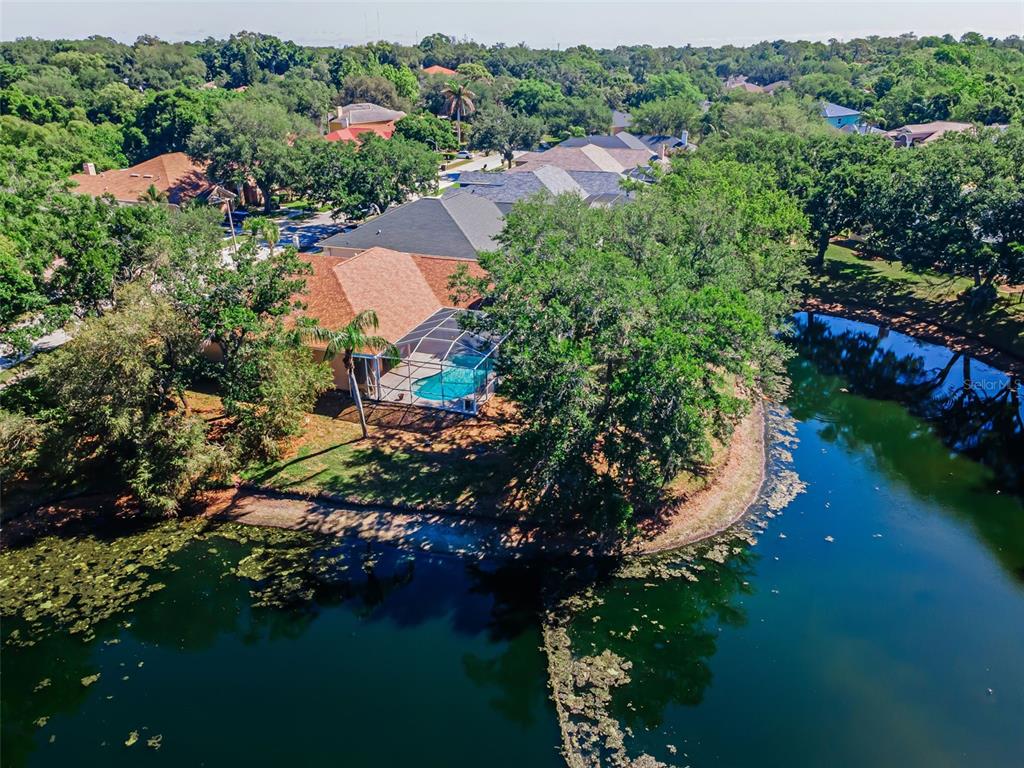 1802 Oak Ridge Road Safety Harbor, FL 34695 - Photo 49 of 73