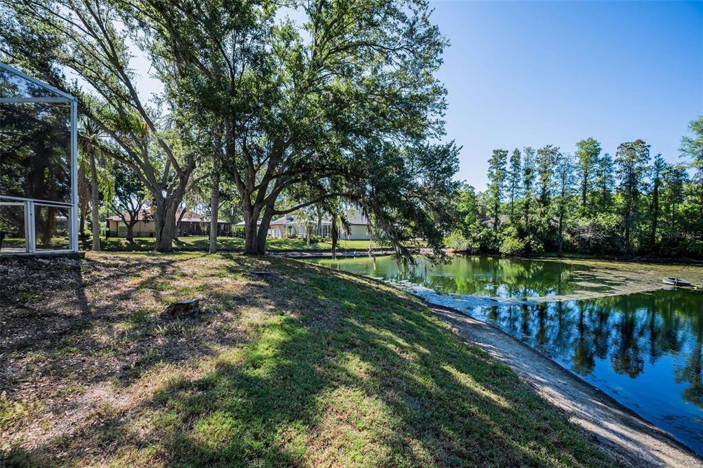 1802 Oak Ridge Road Safety Harbor, FL 34695 - Photo 50 of 73