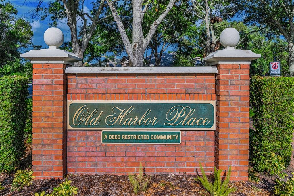 1802 Oak Ridge Road Safety Harbor, FL 34695 - Photo 52 of 73
