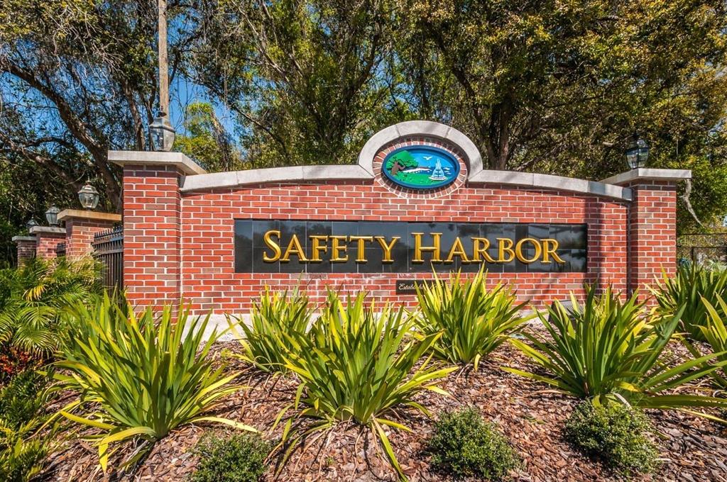 1802 Oak Ridge Road Safety Harbor, FL 34695 - Photo 53 of 73