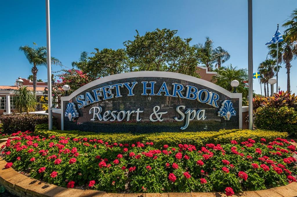 1802 Oak Ridge Road Safety Harbor, FL 34695 - Photo 57 of 73
