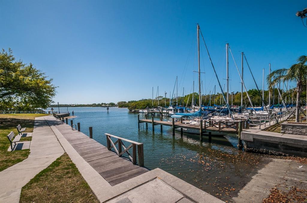 1802 Oak Ridge Road Safety Harbor, FL 34695 - Photo 63 of 73