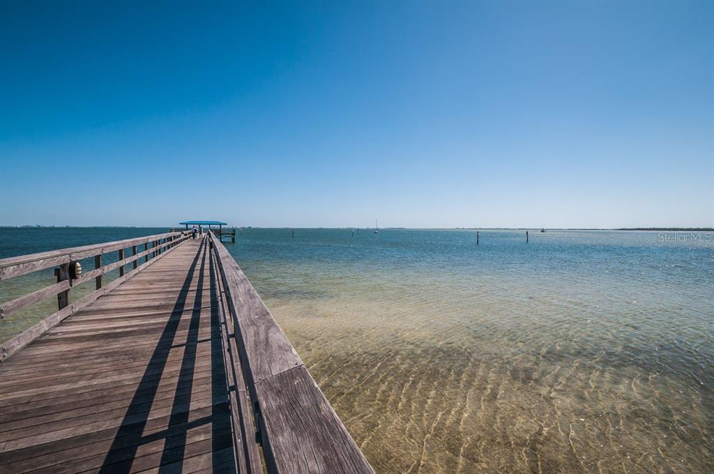 1802 Oak Ridge Road Safety Harbor, FL 34695 - Photo 65 of 73