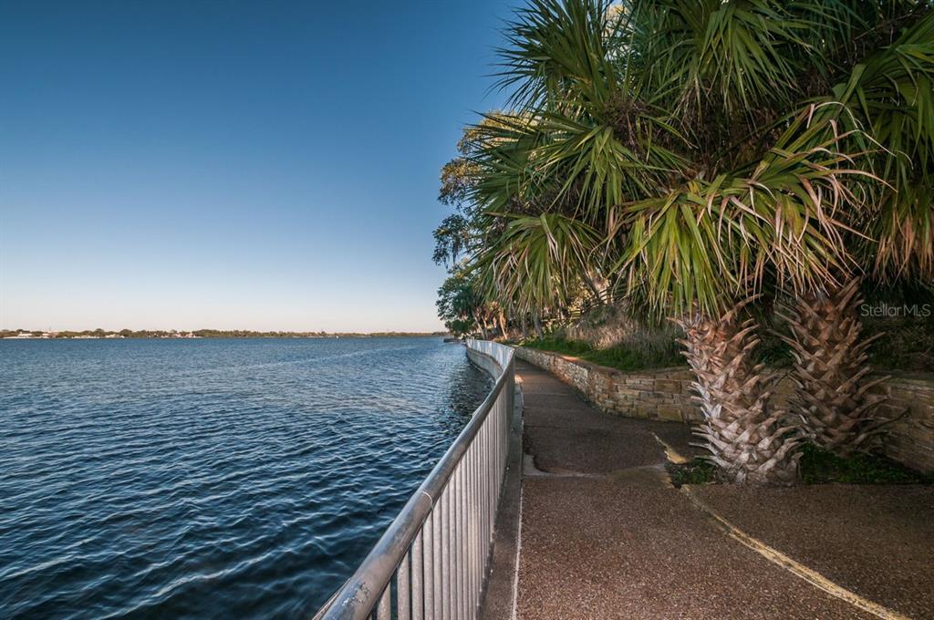 1802 Oak Ridge Road Safety Harbor, FL 34695 - Photo 72 of 73