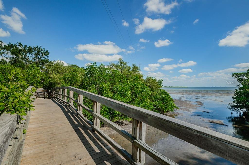 1802 Oak Ridge Road Safety Harbor, FL 34695 - Photo 73 of 73