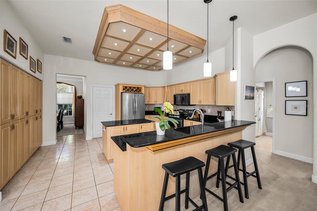1802 Oak Ridge Road Safety Harbor, FL 34695 - Photo 10 of 73