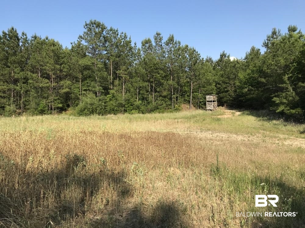 12835 Celeste Road Chunchula, AL 36521 - Photo 7 of 10