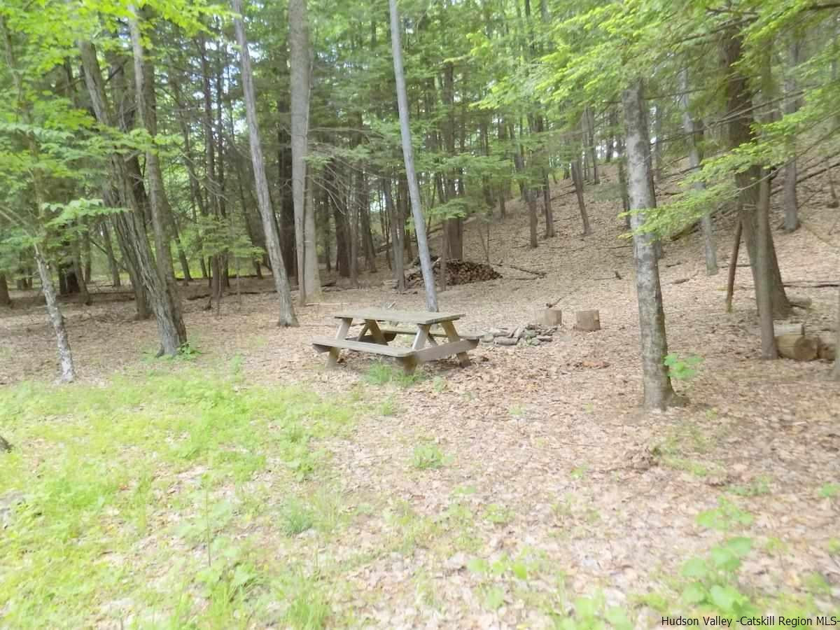 Tbd Winne Road Mount Tremper, NY 12457 - Photo 3 of 16 Photo 3