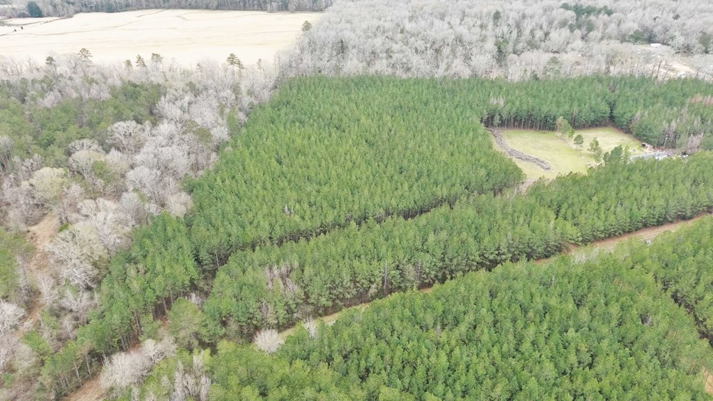 4 Anderson Road Wesson, MS 39191 - Photo 2 of 5 Photo 2