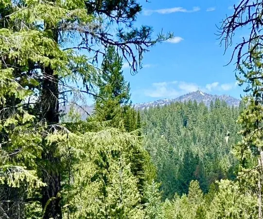 $200,000 | Lot 48 Sky Horse Drive, Unit LOT 48, Cascade, ID 83611