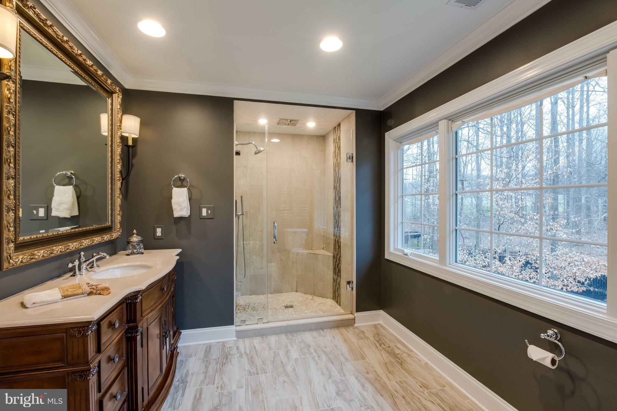 30 Colony Crossing Edgewater, MD 21037 - Photo 15 of 30 HIS bath, custom shower, awesome designer closet