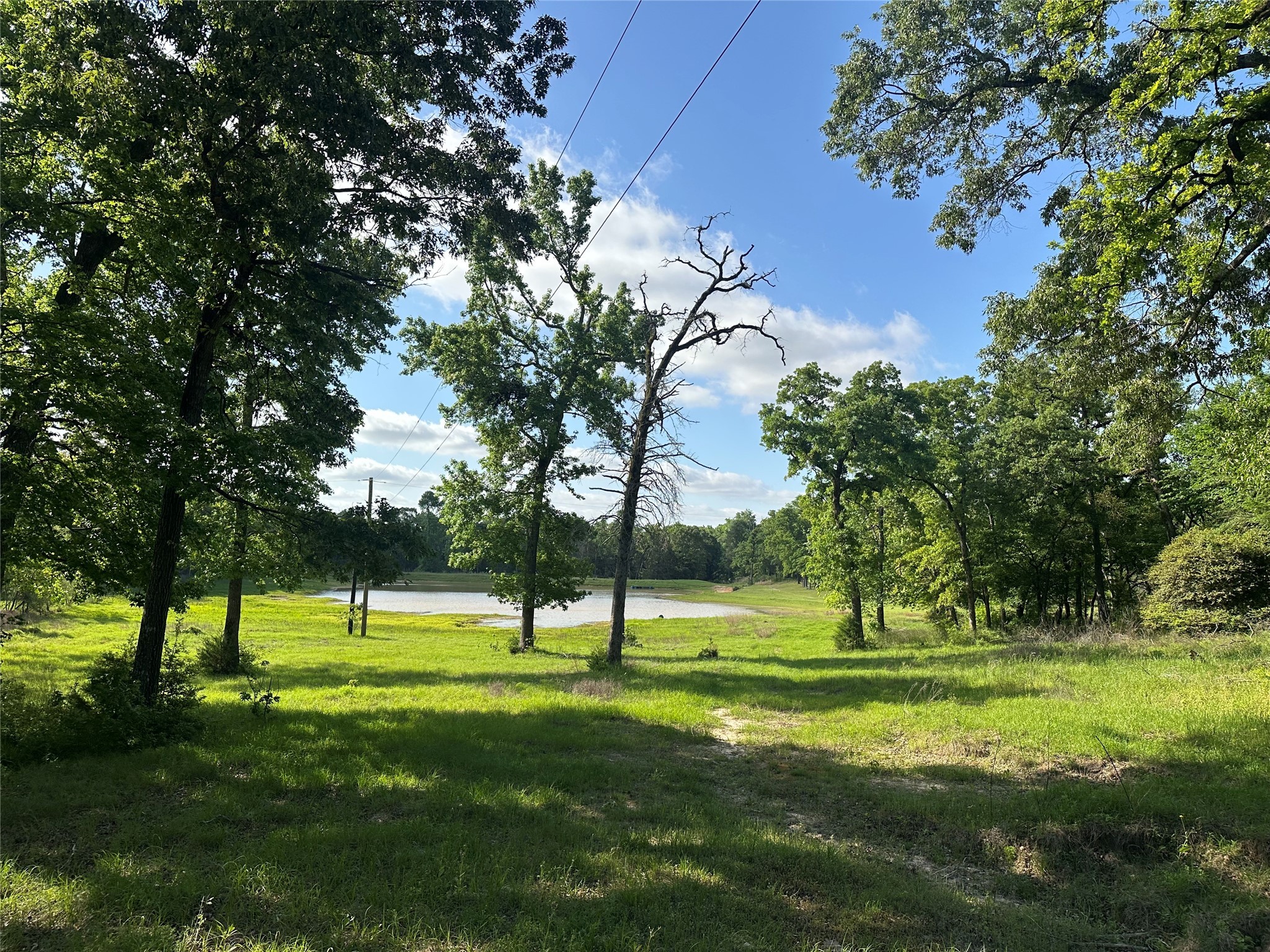 439 Walnut Lane Buffalo, TX 75831 - Photo 1 of 14 a view of a park with tree s