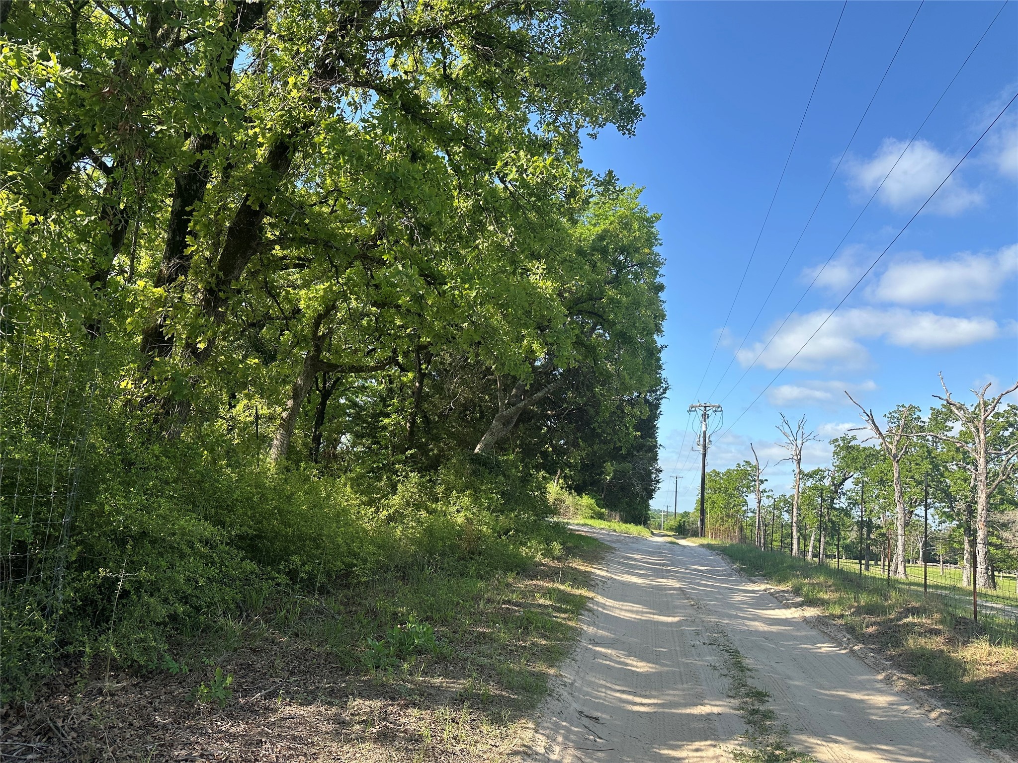 439 Walnut Lane Buffalo, TX 75831 - Photo 13 of 14 a view of a city street from a building