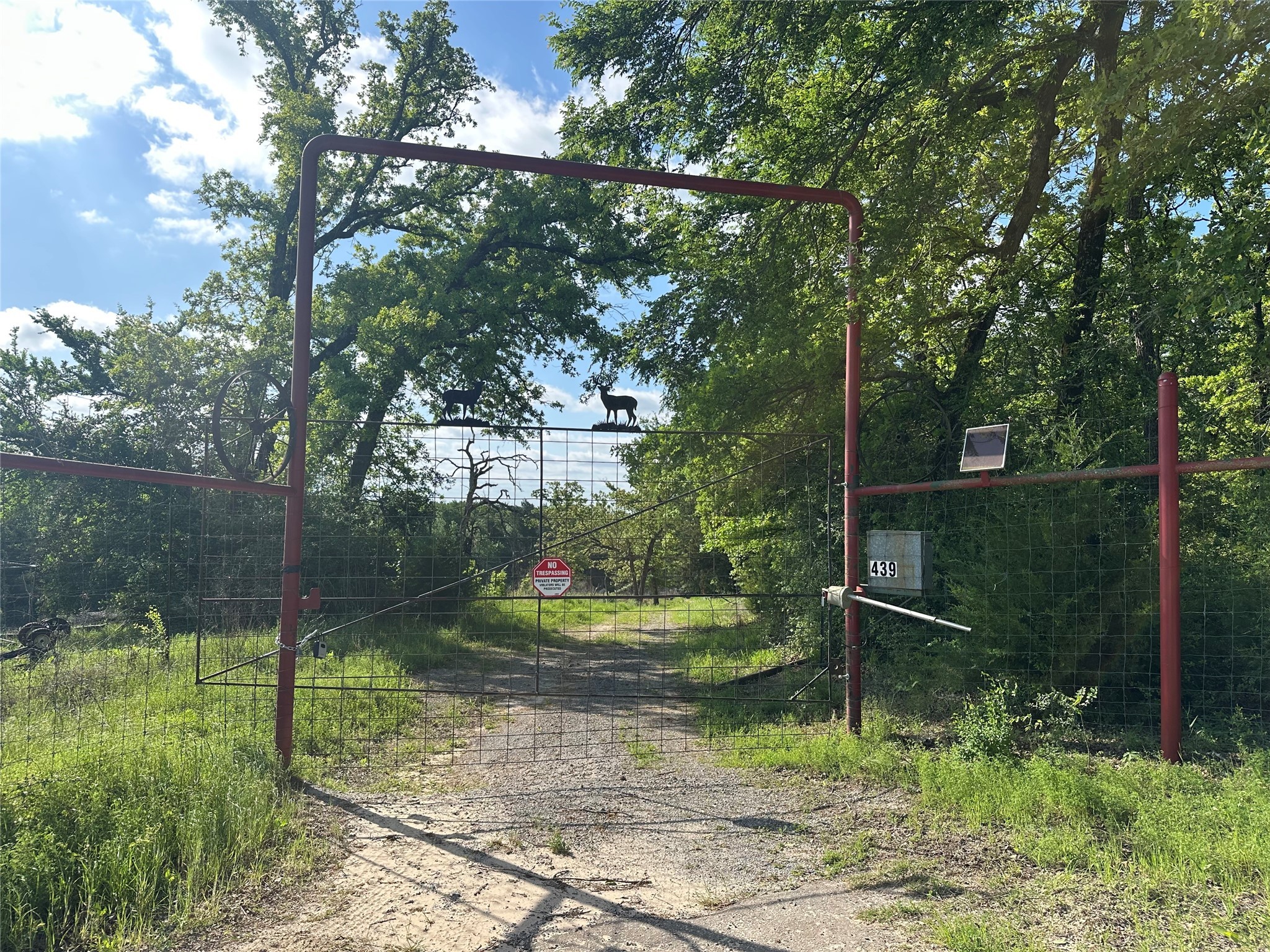 439 Walnut Lane Buffalo, TX 75831 - Photo 14 of 14 a backyard of a house with lots of green space