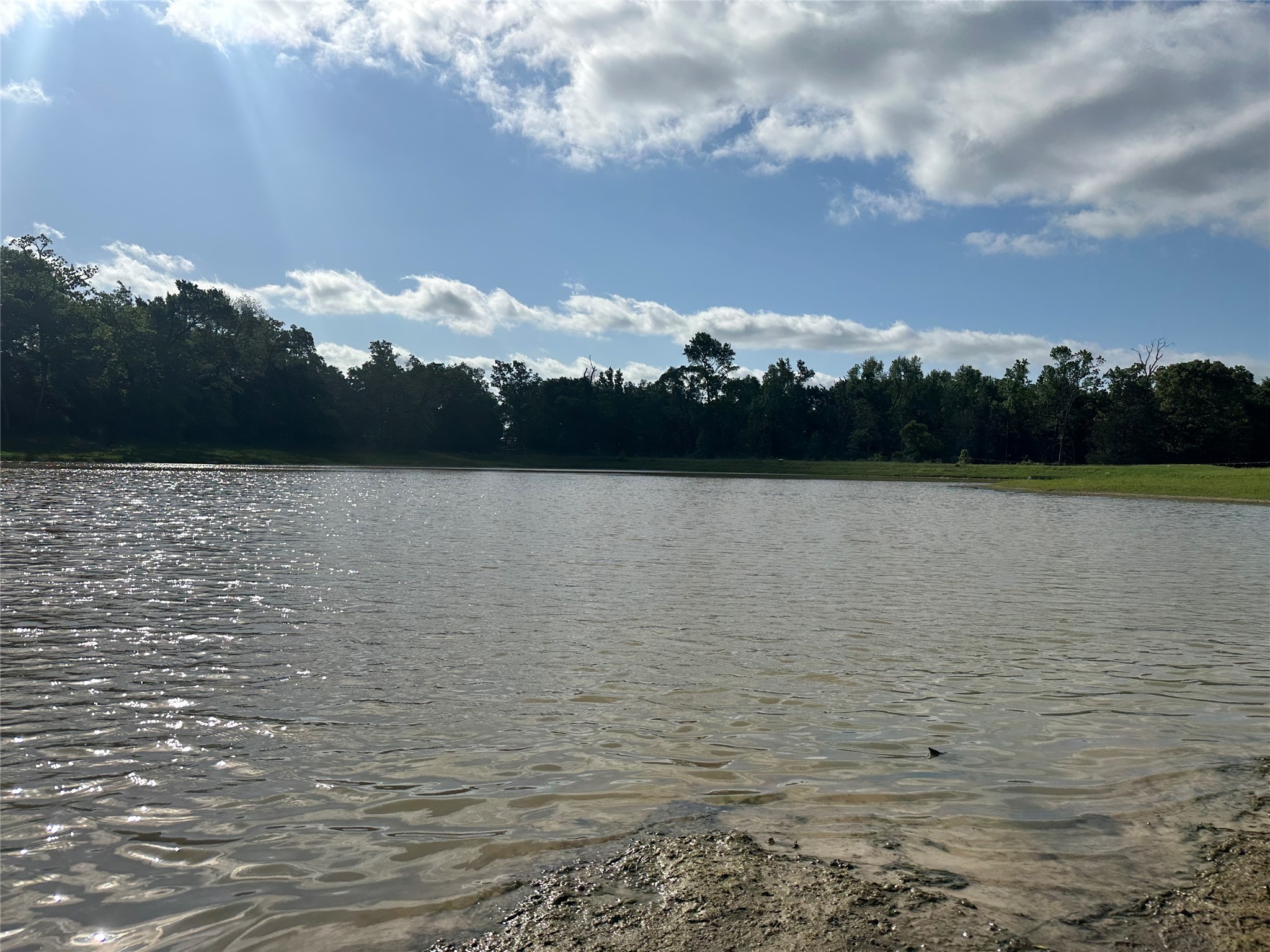 439 Walnut Lane Buffalo, TX 75831 - Photo 2 of 14
