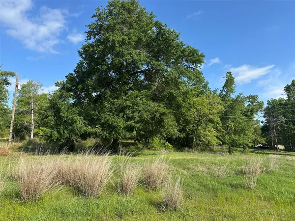 a view of a grassy area with an trees