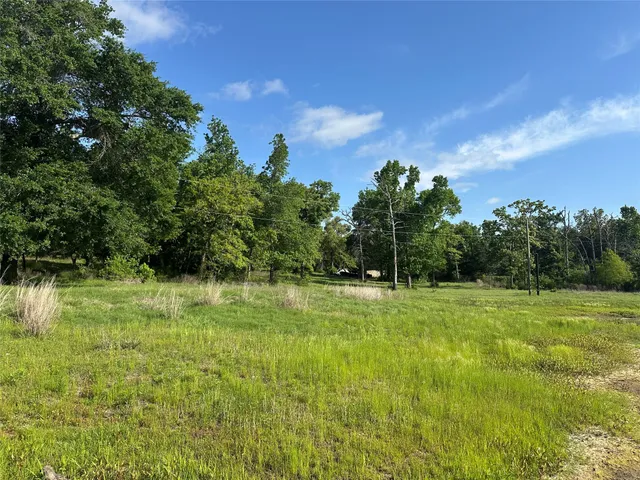 a view of outdoor space with trees all around
