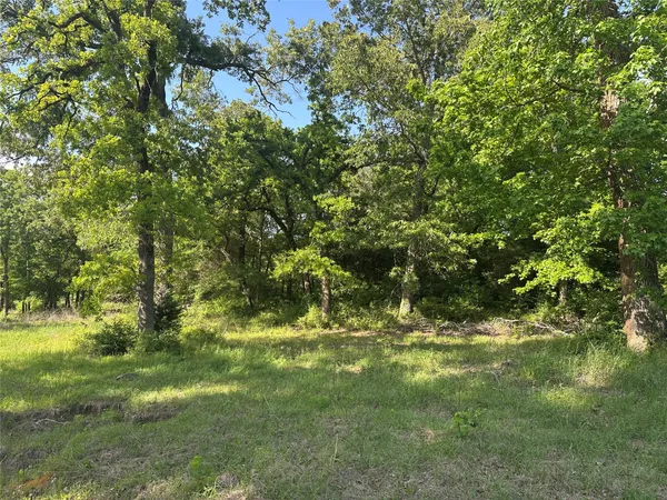 a view of a park
