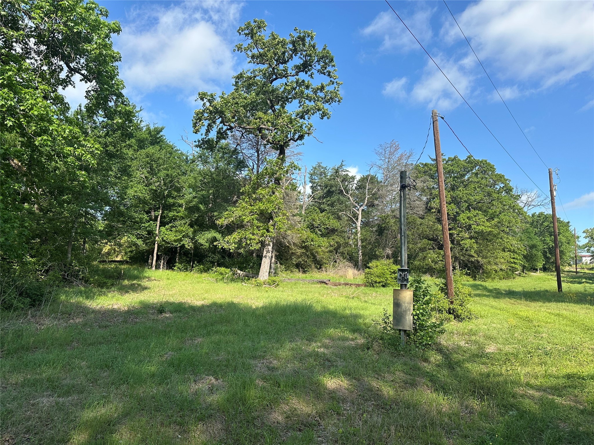 439 Walnut Lane Buffalo, TX 75831 - Photo 10 of 14 a view of a park