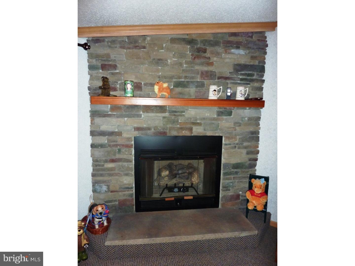 3335 Underwoods Corner Road Clayton, DE 19938 - Photo 9 of 25 Fireplace