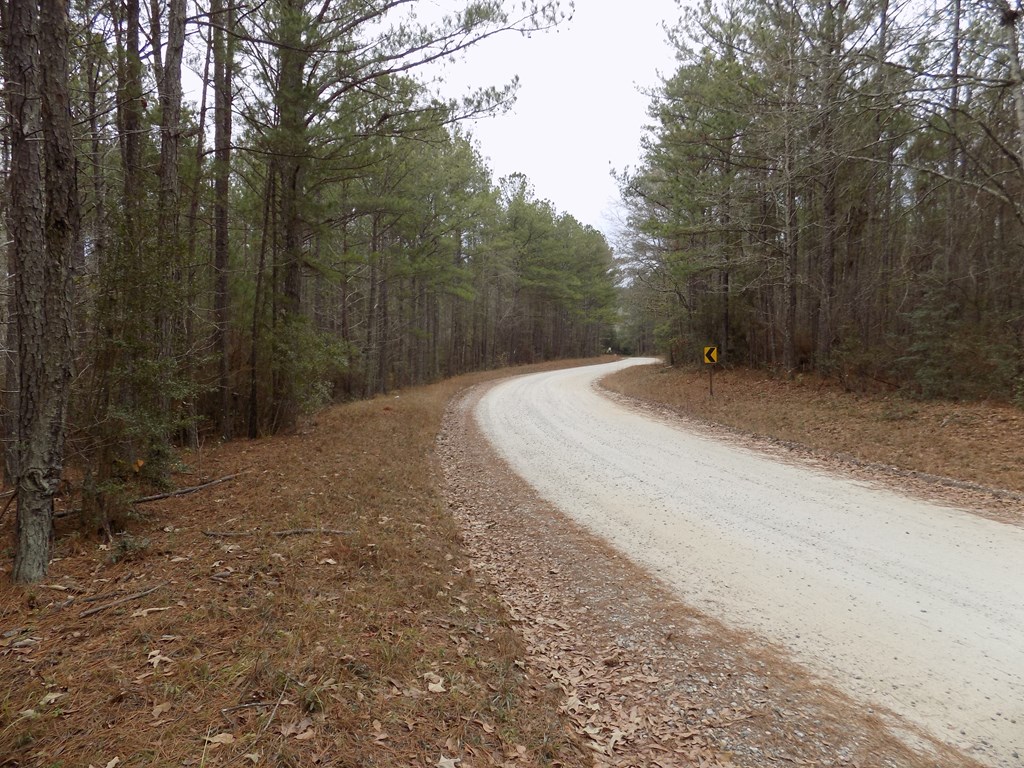 0 Mullins Road Hamilton, GA 31811 - Photo 3 of 5 a view of backyard with green space