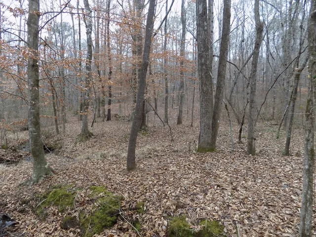 $200,995 | 0 Mullins Road, Hamilton, GA 31811