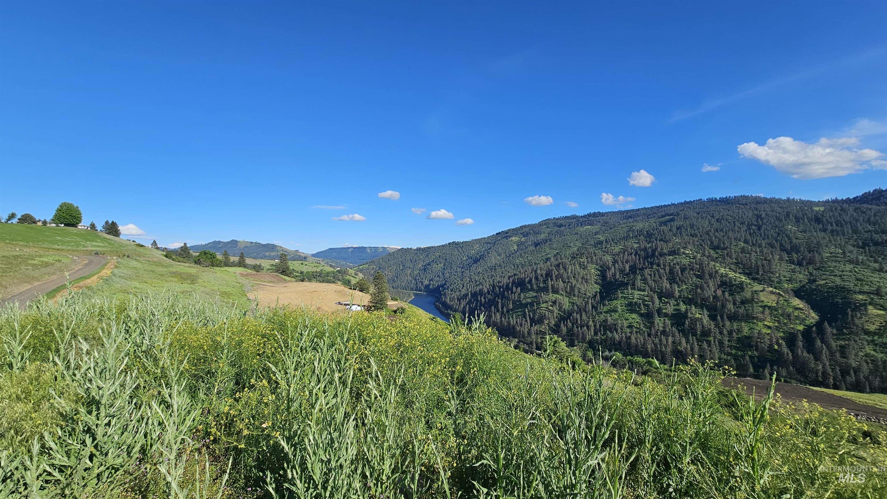 Tbd Lot 5 Tbd Lane Lenore, ID 83541 - Photo 19 of 31