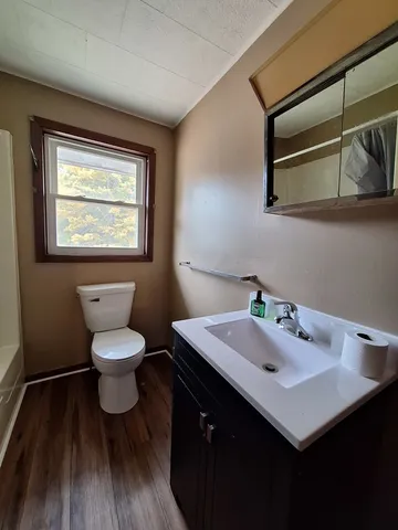 a bathroom with a sink a toilet and a mirror