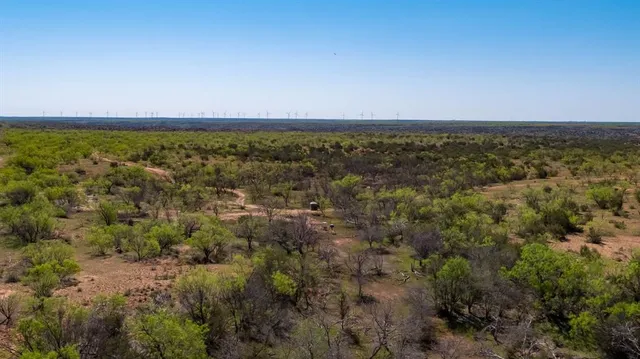 a view of a backyard with a tree