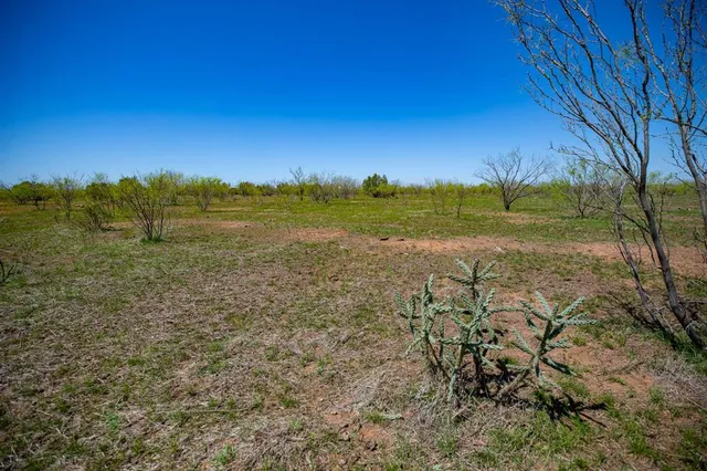 a view of city and ocean