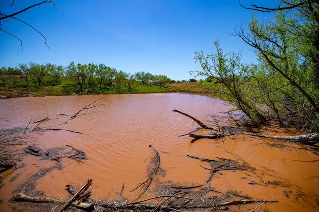 a view of yard with trees