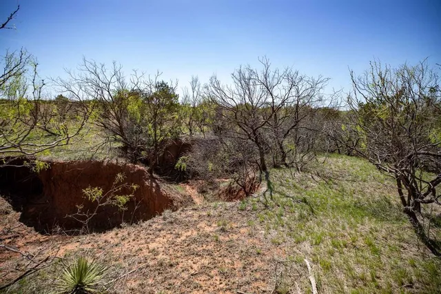 a view of a city with lush green forest