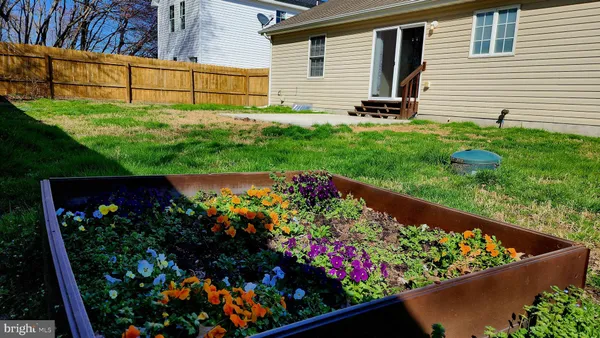 a view of a potted flower in a yard