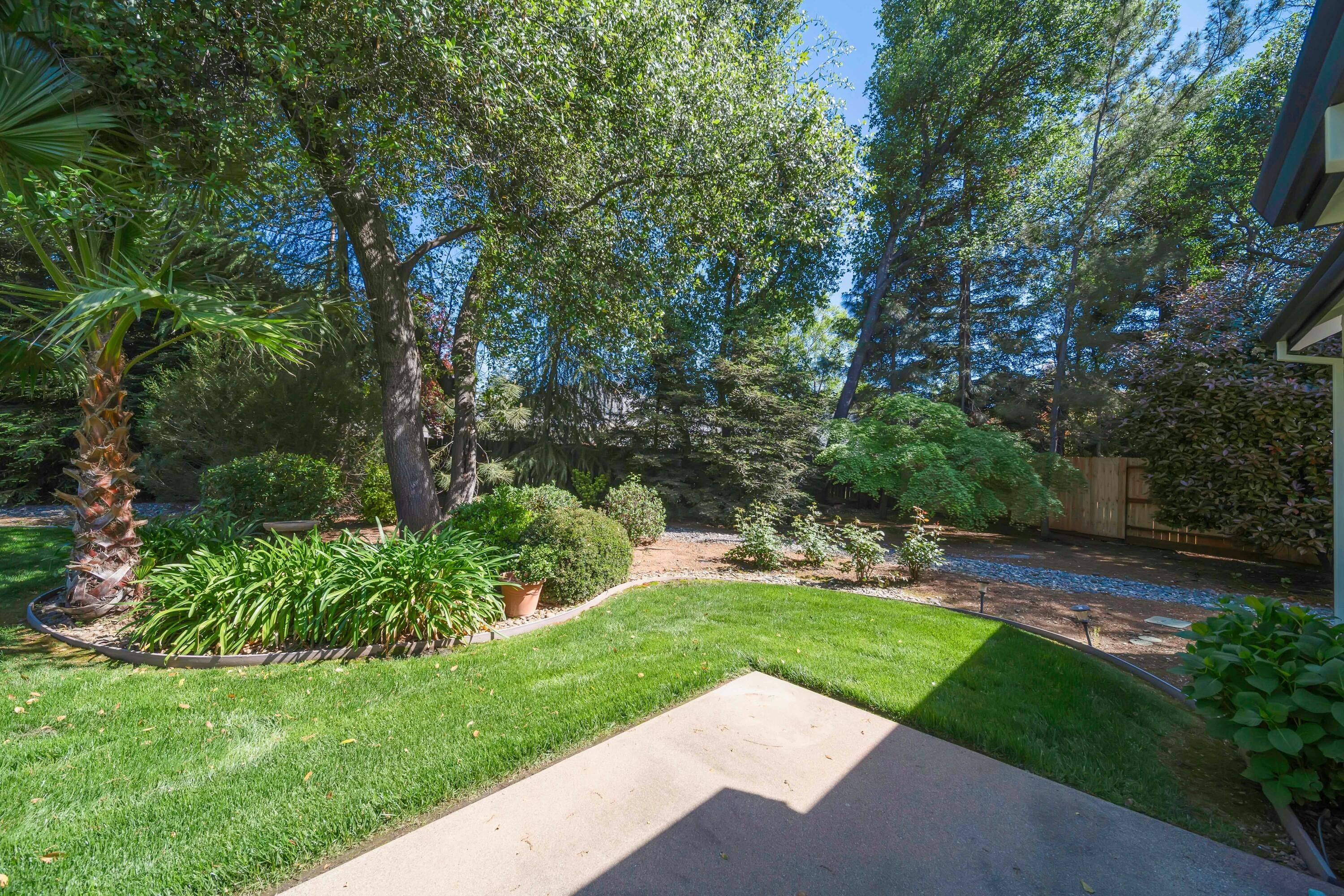 4045 Mt Whitney Way Redding, CA 96002 - Photo 55 of 78 a view of a yard with plants and large trees