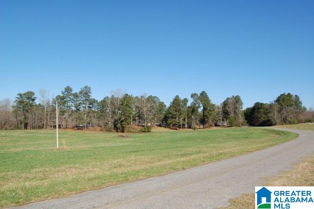 131 County Road, Unit 8 Roanoke, AL 36274 - Photo 2 of 6