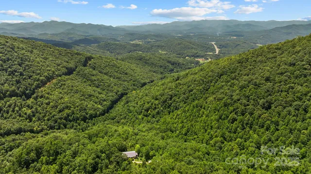 a view of a patio with couches and potted plants