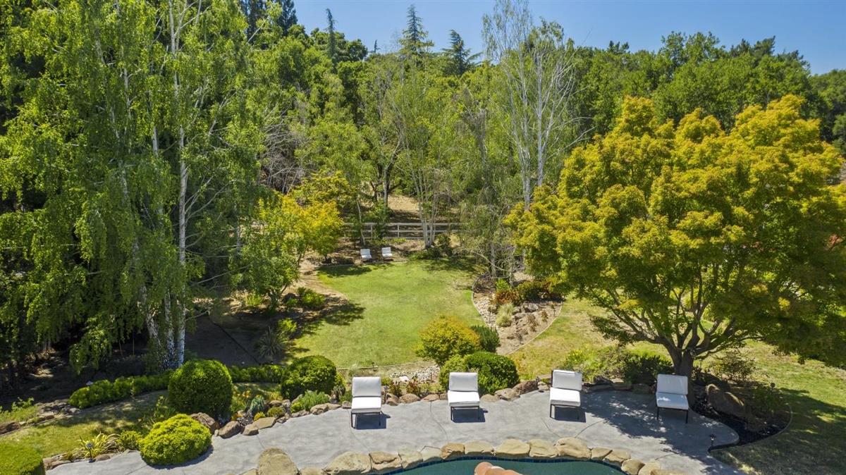 14355 Quito Road Saratoga, CA 95070 - Photo 9 of 50 a view of backyard with plants and outdoor seating