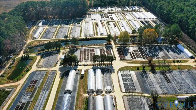 a view of a patio with chairs and large trees