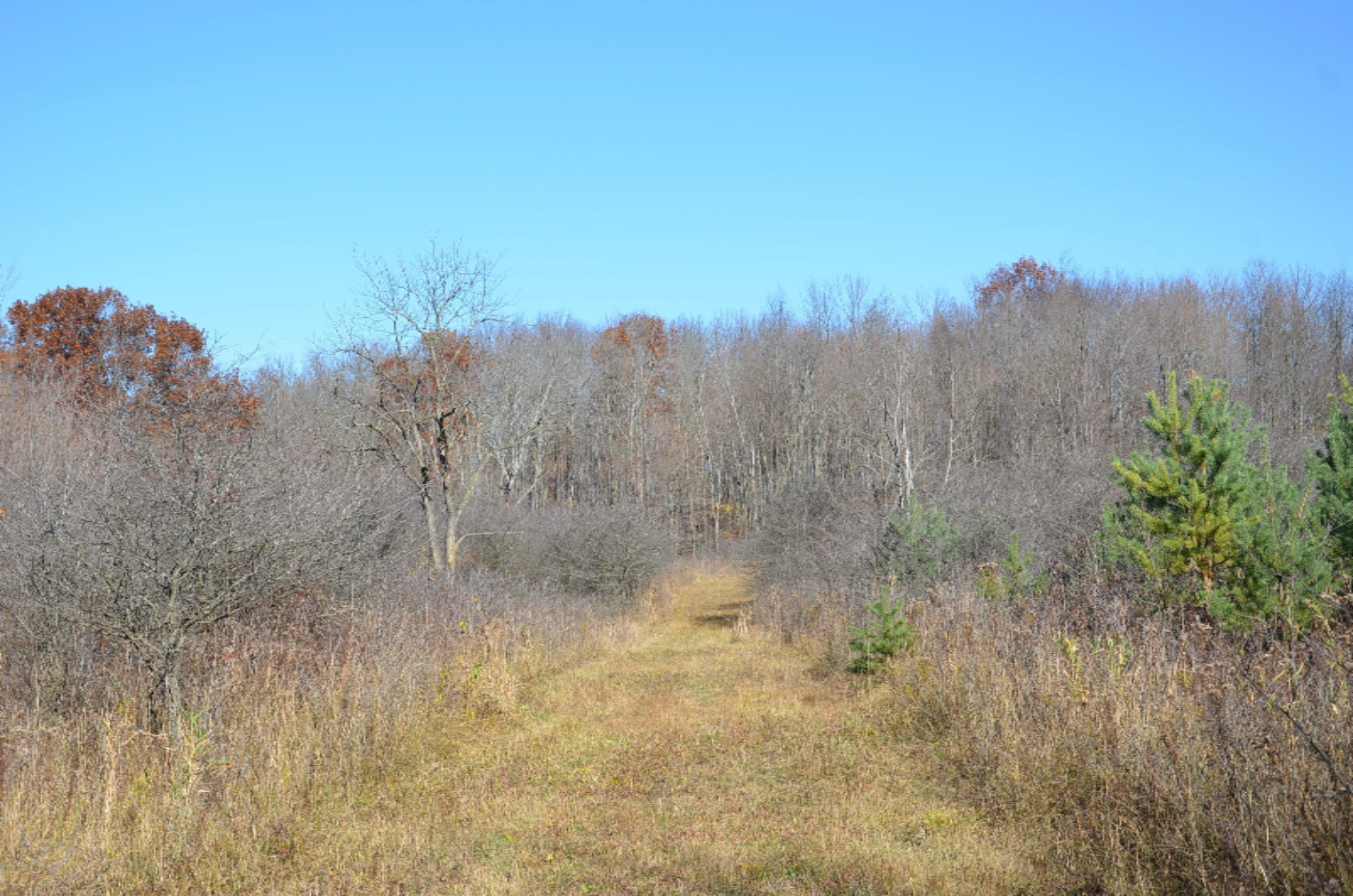 Shultz Road Hastings, MI 49058 - Photo 4 of 17 DSC_0517