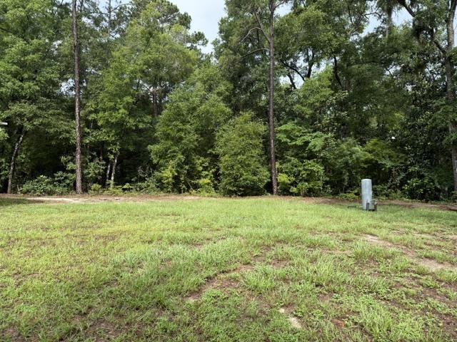1904 Collins Landing Road Tallahassee, FL 32310 - Photo 27 of 34