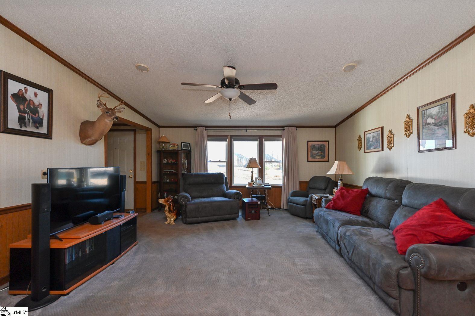 218 Goodjoin Road Landrum, SC 29356 - Photo 4 of 28